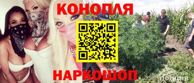 винт Долгопрудный