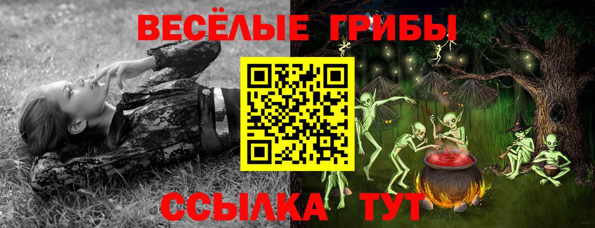 Псилоцибиновые грибы мицелий Тверь
