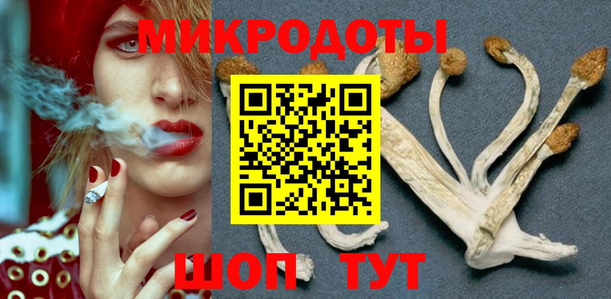 Псилоцибиновые грибы Psilocybe  Вход с VPN  Галлюциногенные грибы Psilocybe  Тверь 